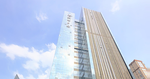 域名whois查询whois