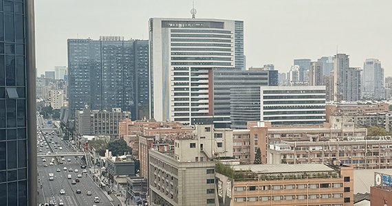 whois域名解析查询