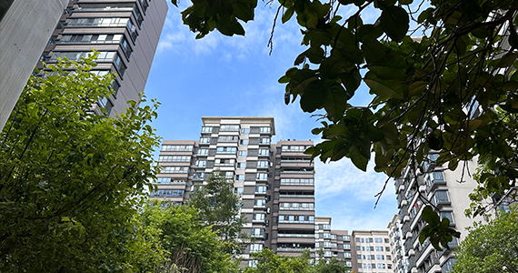 域名whois查询信息