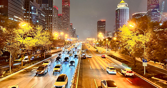 域名批量查询：高效管理与分析域名资源