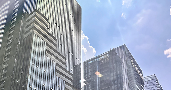 域名批量查询首选域名频道